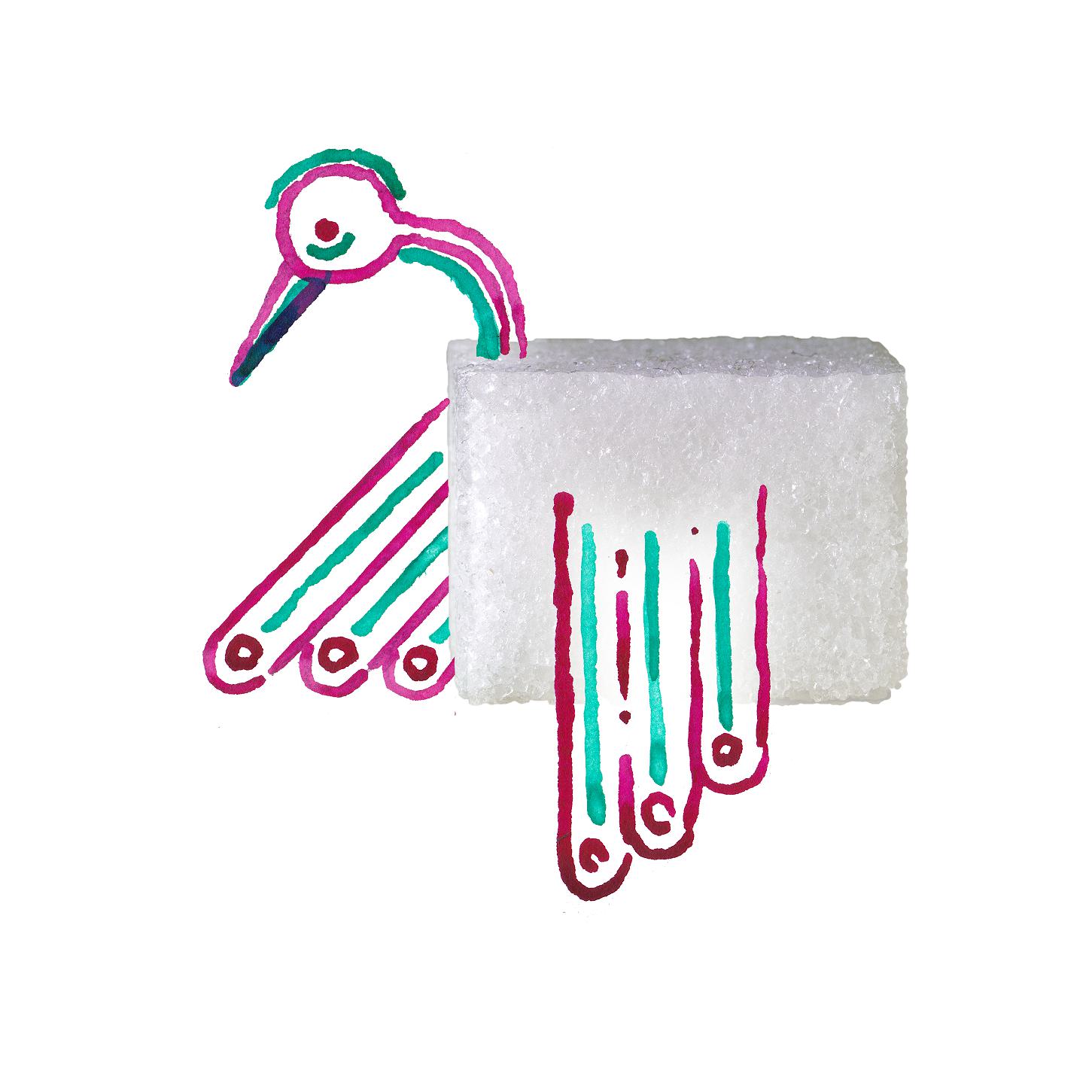 s01-02 vreemde vogel